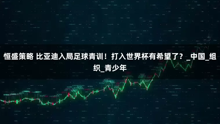 恒盛策略 比亚迪入局足球青训！打入世界杯有希望了？_中国_组织_青少年